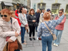 IMG-538a26f4f0922e308ad6f83cff84c5c7-V